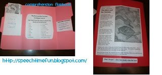 Comprehension Flapbook!